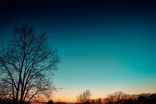 送老师鲜花寄语简短 鲜花寄语简短送老婆(精选77句)