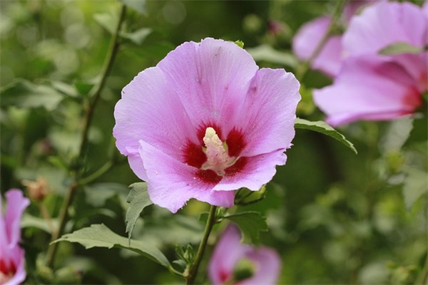 一件小事(精选4篇)