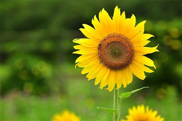 海边文案短句干净治愈 海边文案短句干净治愈 夏天沙滩的文案