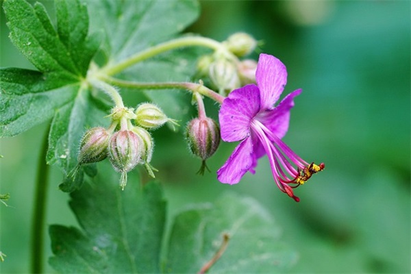 标准化工程师岗位职责(精选7篇)