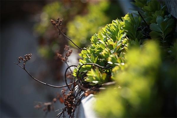 送别领导的话简短高情商推荐(精选65句)