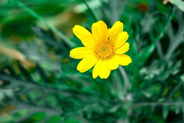 有你陪伴 真好(精选2篇)