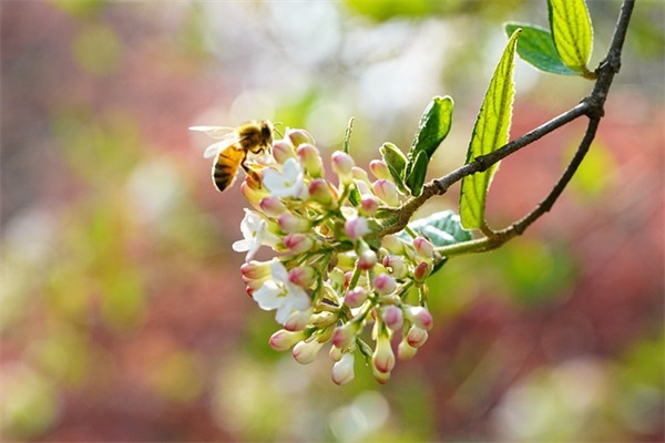 夏景的古诗句 写夏景的古诗句有哪些(精选55句)