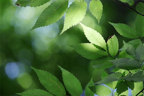 适合霸气女生用的个性签名(精选79句)