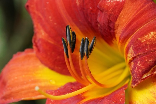 发朋友圈的高级情话 甜到爆的文案(精选58句)