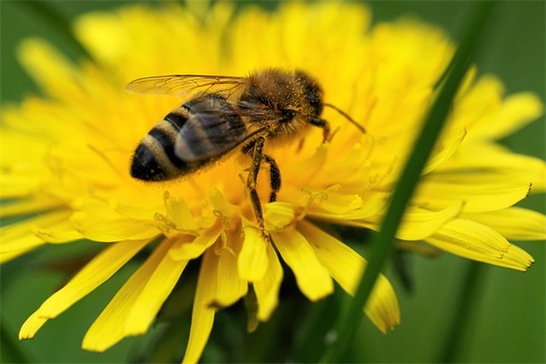 感谢嫂短语 感谢领导请吃饭的短语(精选49句)