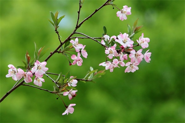 干净简短个性签名 简短温柔干净的个性签名