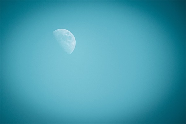 2025我的新年愿望创意句子文案