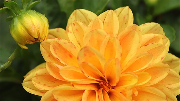 孩子百天宴会主持词(精选3篇)