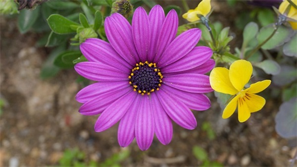 适合女生的个性标签 适合女生的qq个性标签字