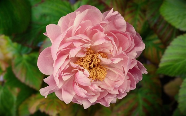 工程部主管具体岗位职责(精选5篇)