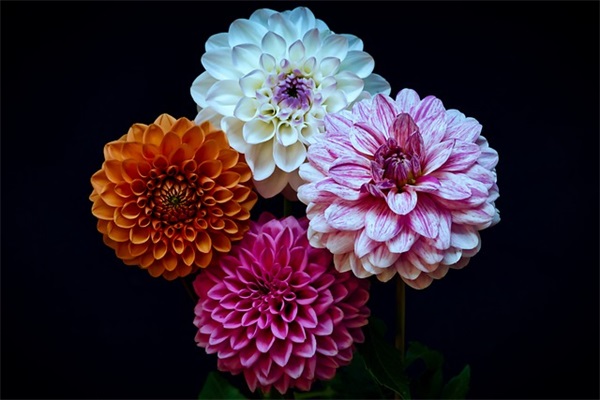 古风签 古风签名唯美简短霸气(精选64句)