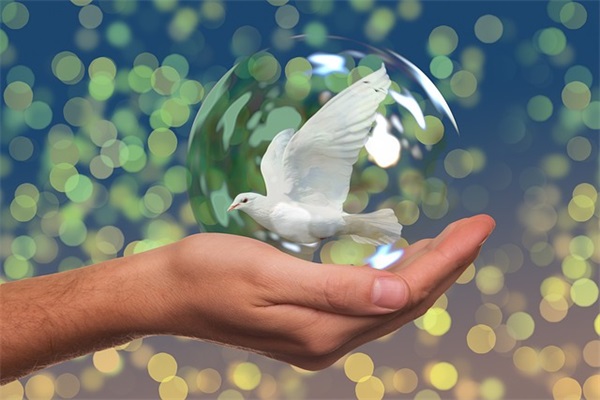 帮朋友宣传店铺幽默语 帮朋友宣传店铺朋友圈