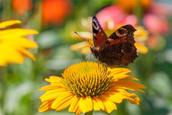 2024老公给老婆的道歉信模板(精选3篇)