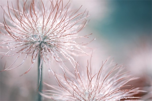 镇政府庆祝农行开业的致辞(精选4篇)