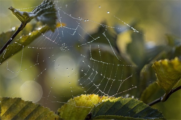 宇宙的另一边(精选10篇)