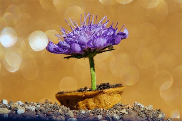 总经理发言致辞2024大全(精选3篇)