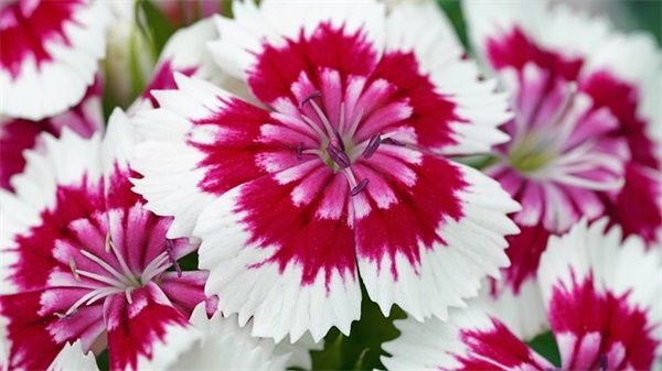 农业谚语 谚语大全(精选97句)