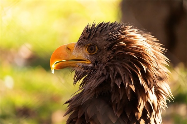 女生个性签名2024最新版(精选69句)