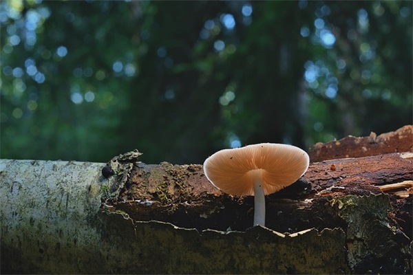 送给小人的经典语句 骂小人的经典语句(精选47句)