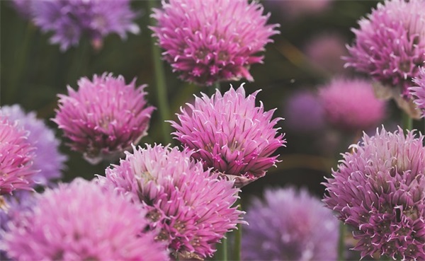 关于入学通知模板(精选3篇)