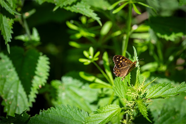 对男朋友撒娇卖萌的话 让男生抵抗不了的撒娇的话有哪些？