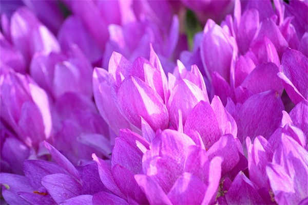 公司11月开业致辞(精选3篇)