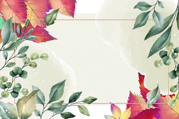 新教师岗前培训感言(精选4篇)