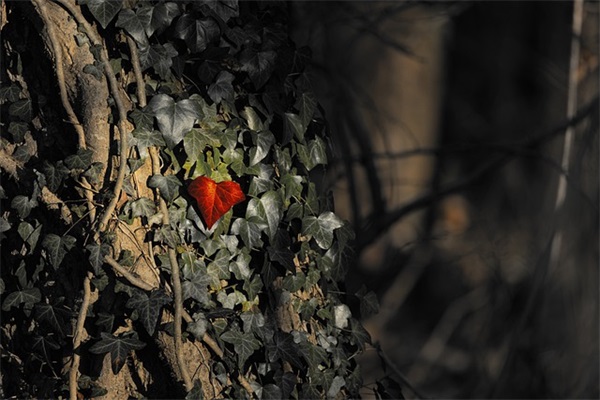 7月员工生日祝福语106句