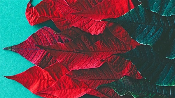 公司新年祝福语2025年62句