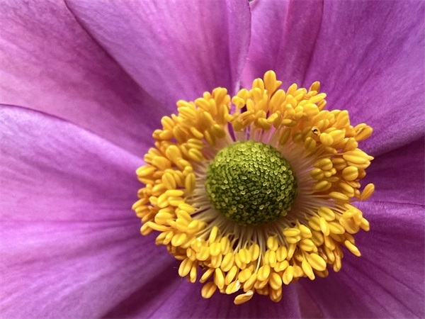 辞职祝福语大全72句