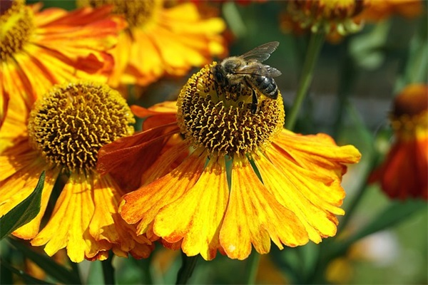 鼓励考生的高考祝福语(祝高考生金榜题名的高考祝福语)