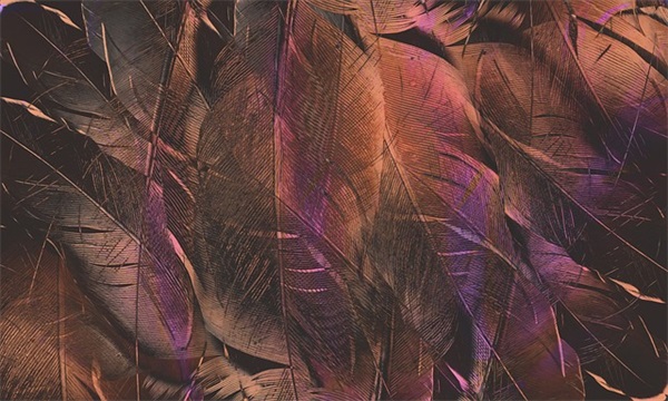 写给高考的祝福语58句