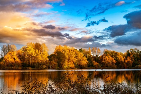 学生贺卡祝福语75句