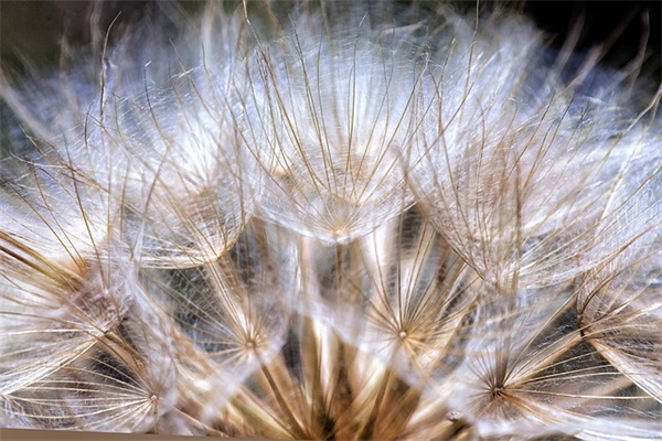 中国力量(精选3篇)