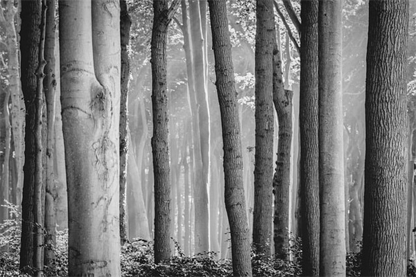 产品运营岗位职责(精选4篇)