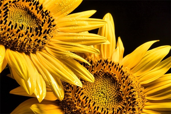 超拽个性签名女生霸气冷酷(精选60句)