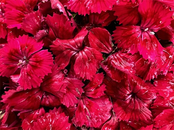 关于员工拾金不昧表扬信怎么写(精选3篇)