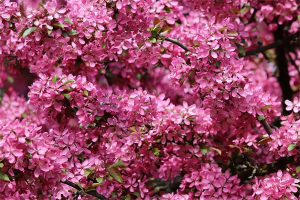 漫长的等待的心情短语 漫长的等待的心情短语学校通知