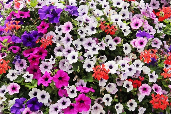 天官赐福中的经典语句 天官赐福惊艳语句(精选40句)