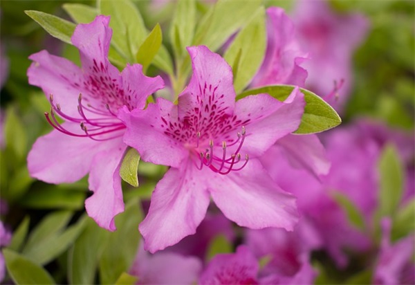 煤矿井下设备起吊、装卸、拖拉时需要注意什么？(精选3篇)