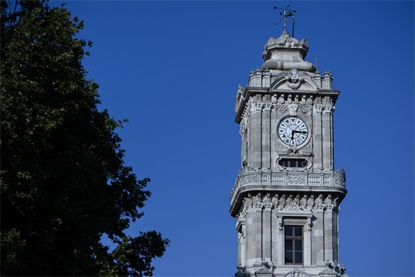 推销鸡的广告语 推销石榴的广告语20字(精选76句)