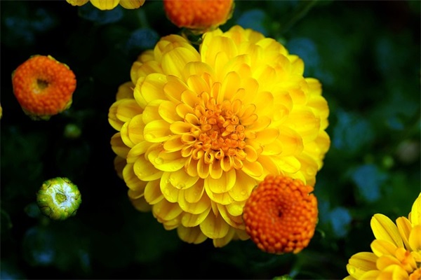 读《寄小读者》有感200字