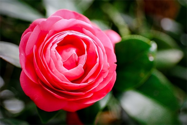 2024微信最火霸气个性签名 QQ微信最新个性签名