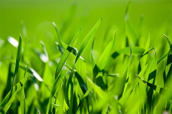 孤独的最高境界一句话(精选36句)