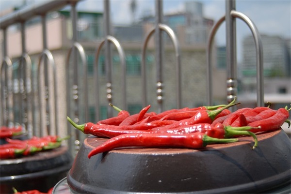 国庆节小短句 国庆节手抄报优美语句(精选66句)