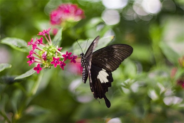给不懂珍惜的人一句话 写给那些不懂珍惜的人