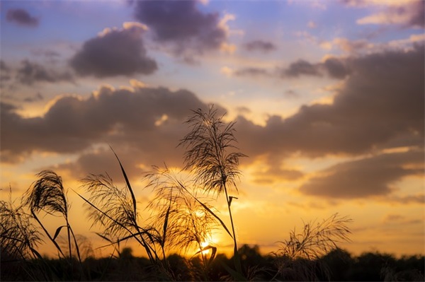 描写山的好句 描写山的好句好段摘抄(精选22句)