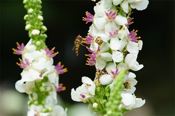 很成熟很现实的一段话短句 很成熟很现实的一段话伤感