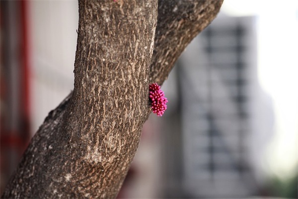 温柔到骨子里的干净文案(精选2篇)